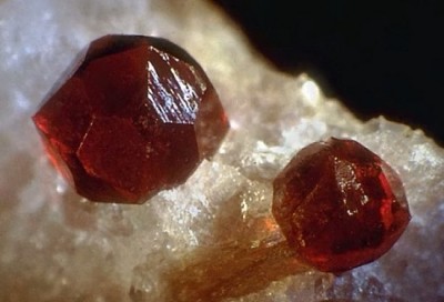 ef646c7d2d9d.jpg