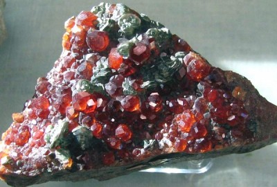 m-gross_5I-1.JPG