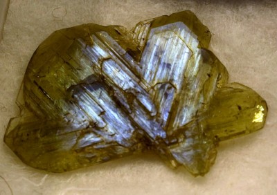 5345ec0d55cf.jpg
