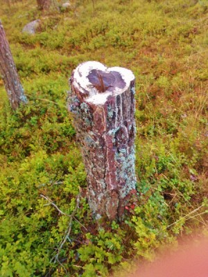 WP_000902.jpg
