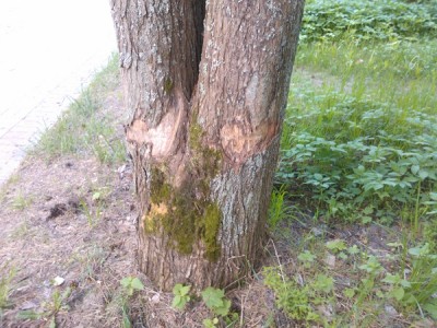 WP_000408.jpg