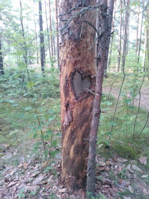 WP_000841.jpg