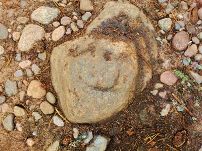 WP_000904.jpg