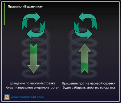 BURAVCHIK.jpg