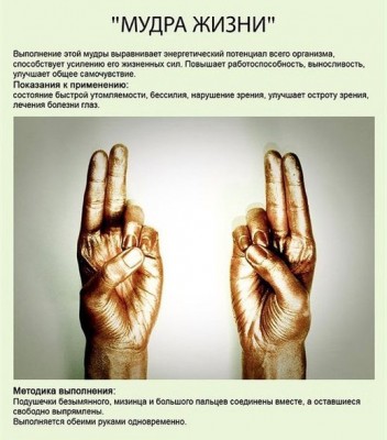 99465179_1365274446_aYiPULq9SxU.jpg