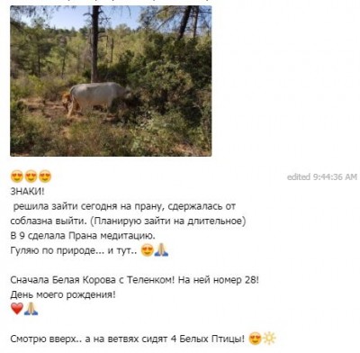 ПШ8.JPG