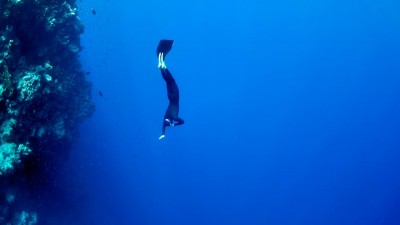 freediving.jpg